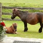 Gollehenhof *