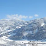 아파트 Gollehenhof