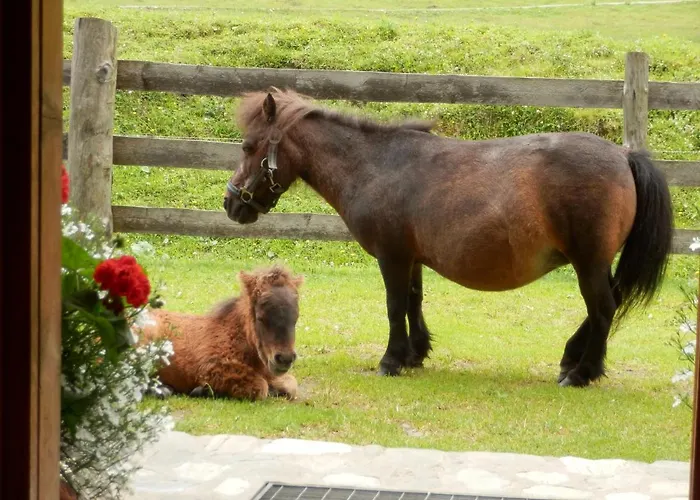 Gollehenhof *