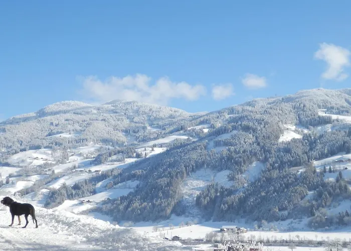 דירה Gollehenhof